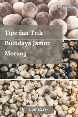 Sampul buku Tips dan Trik Budida...